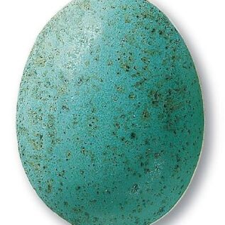 szkliwo TC345 - turkusowe nakrapiane