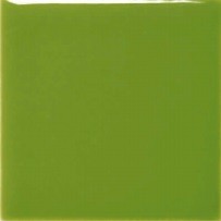 szkliwo TCfluid (opakowanie 230ml) - zielony liść