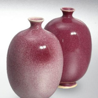 TC 8232/TC632 Amarylis opakowanie 1kg