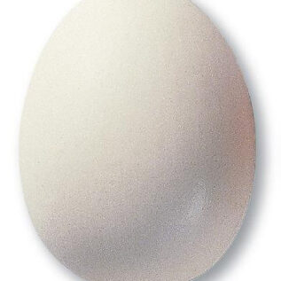 Szkliwo TC 7802/TC302- Transparent Matowy opakowanie 1kg